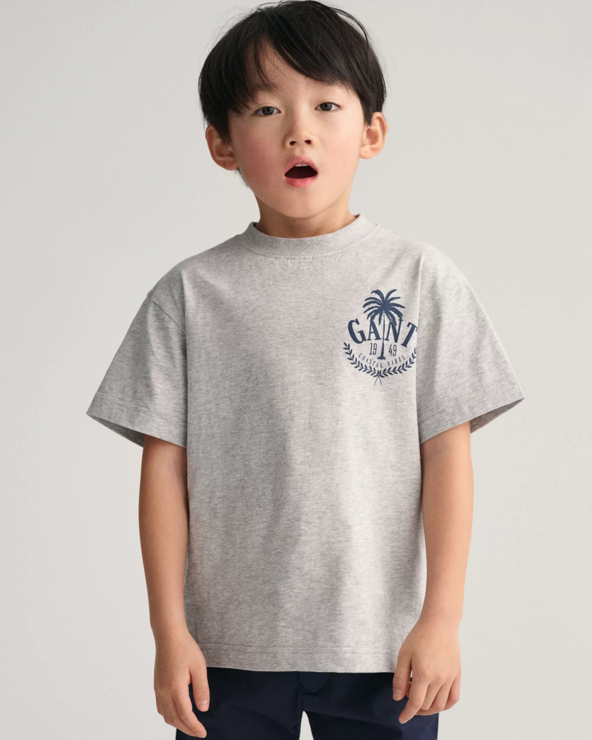 T-Paidat & Pikeet^GANT Boys-Malliston Oversized Fit -Mitoitettu Palm -Printti-T-Paita Light Grey Melange